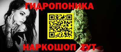 прущие крисы Мариинск