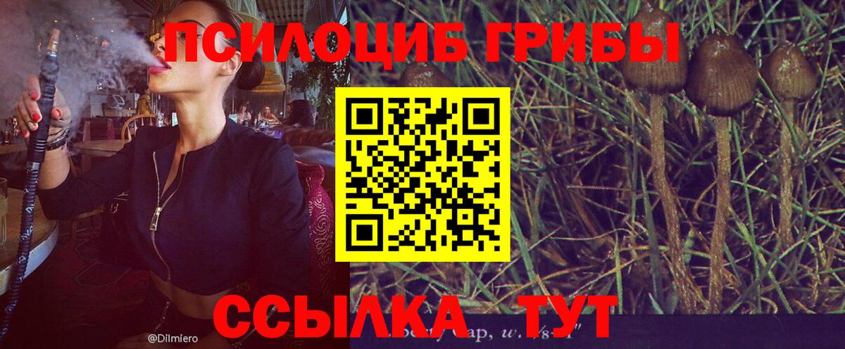 наркотики  Псилоцибиновые грибы Psilocybe  Вход с VPN  Белебей 